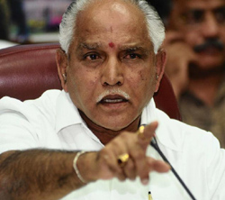 Yeddy